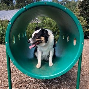 Meet your Posher, Jerry